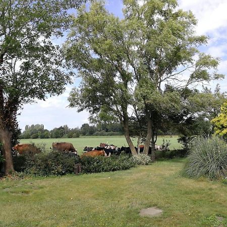 Villa Vinkelaar 11 Terschuur Esterno foto