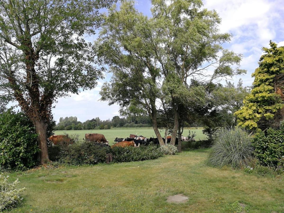 Villa Vinkelaar 11 Terschuur Esterno foto